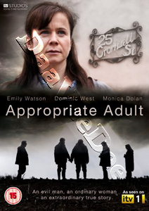 Appropriate Adult (DVD)